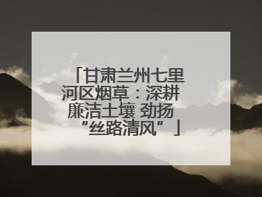 甘肃兰州七里河区烟草：深耕廉洁土壤 劲扬“丝路清风”