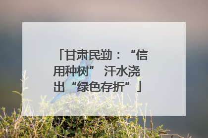 甘肃民勤：“信用种树” 汗水浇出“绿色存折”