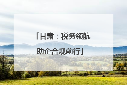 甘肃：税务领航 助企合规前行