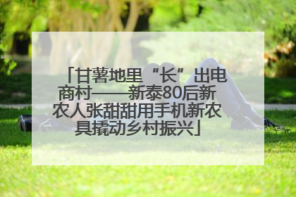 甘薯地里“长”出电商村——新泰80后新农人张甜甜用手机新农具撬动乡村振兴