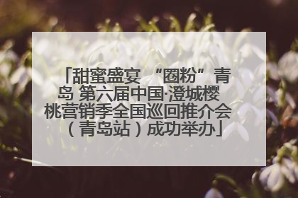 甜蜜盛宴 “圈粉”青岛 第六届中国·澄城樱桃营销季全国巡回推介会（青岛站）成功举办