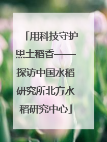用科技守护黑土稻香——探访中国水稻研究所北方水稻研究中心