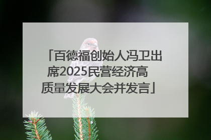 百德福创始人冯卫出席2025民营经济高质量发展大会并发言