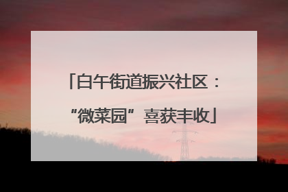 白午街道振兴社区：“微菜园”喜获丰收