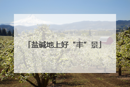 盐碱地上好“丰”景