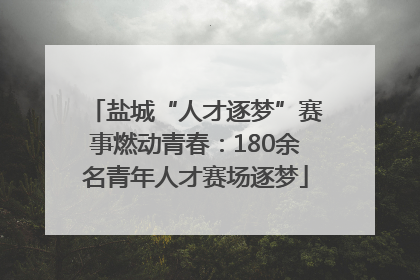 盐城“人才逐梦”赛事燃动青春：180余名青年人才赛场逐梦