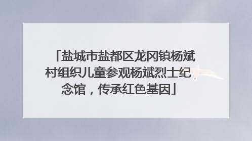盐城市盐都区龙冈镇杨斌村组织儿童参观杨斌烈士纪念馆，传承红色基因