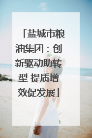 盐城市粮油集团：创新驱动助转型 提质增效促发展