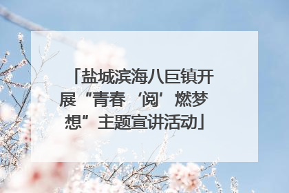 盐城滨海八巨镇开展“青春‘阅’燃梦想”主题宣讲活动