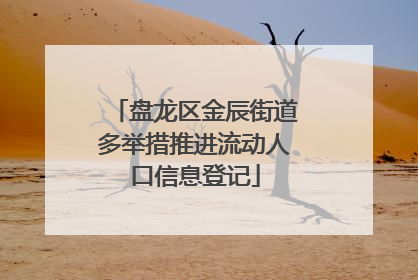 盘龙区金辰街道多举措推进流动人口信息登记