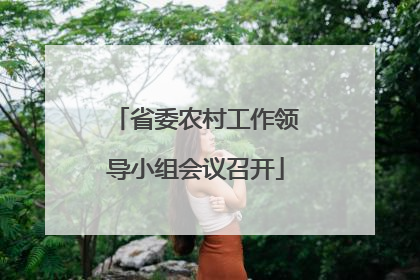 省委农村工作领导小组会议召开