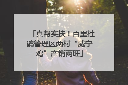 真帮实扶！百里杜鹃管理区两村“威宁鸡”产销两旺