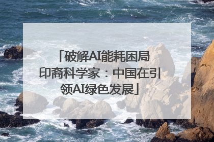 破解AI能耗困局 印裔科学家：中国在引领AI绿色发展