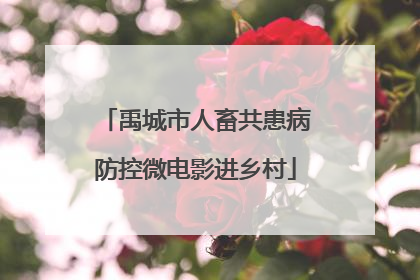 禹城市人畜共患病防控微电影进乡村