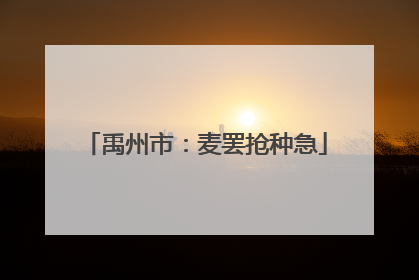 禹州市：麦罢抢种急