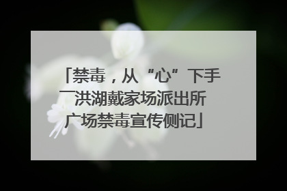 禁毒，从“心”下手――洪湖戴家场派出所广场禁毒宣传侧记