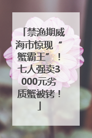 禁渔期威海市惊现“蟹霸王”！七人强卖3000元劣质蟹被铐！
