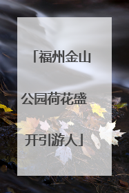 福州金山公园荷花盛开引游人