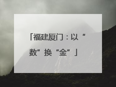 福建厦门：以“数”换“金”