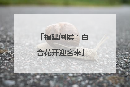 福建闽侯：百合花开迎客来