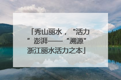 秀山丽水，“活力”澎湃——“溯源”浙江丽水活力之本