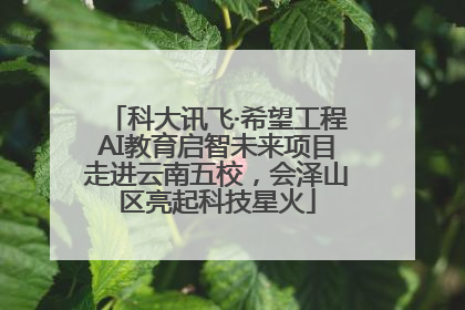 科大讯飞·希望工程AI教育启智未来项目走进云南五校，会泽山区亮起科技星火