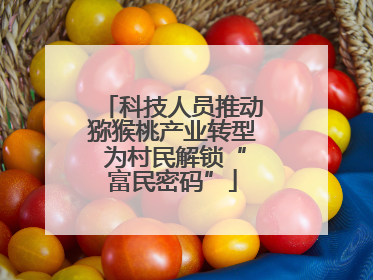 科技人员推动猕猴桃产业转型 为村民解锁“富民密码”