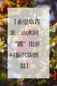 秦皇岛青龙：山水间“播”出乡村振兴新图景