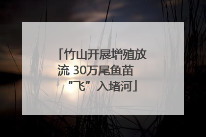 竹山开展增殖放流 30万尾鱼苗“飞”入堵河