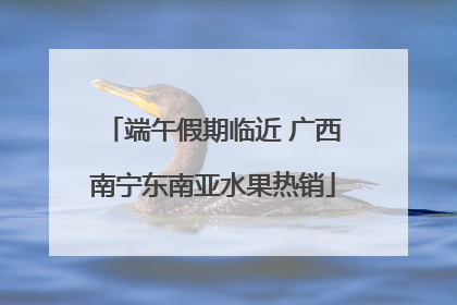 端午假期临近 广西南宁东南亚水果热销