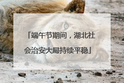 端午节期间，湖北社会治安大局持续平稳