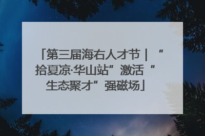 第三届海右人才节｜“拾夏凉·华山站”激活“生态聚才”强磁场