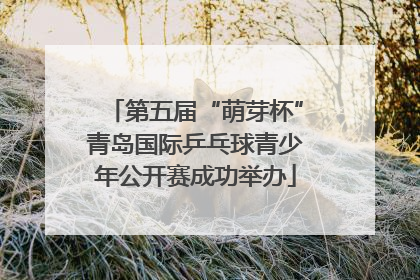 第五届“萌芽杯”青岛国际乒乓球青少年公开赛成功举办