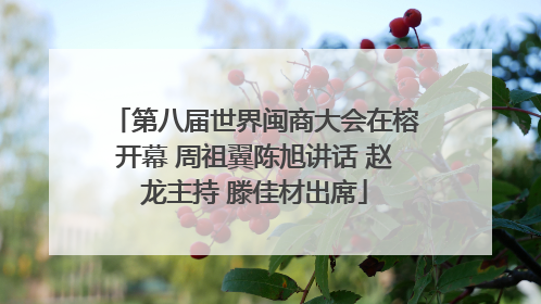 第八届世界闽商大会在榕开幕 周祖翼陈旭讲话 赵龙主持 滕佳材出席