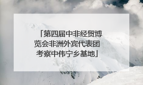 第四届中非经贸博览会非洲外宾代表团考察中伟宁乡基地