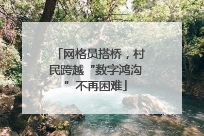 网格员搭桥，村民跨越“数字鸿沟”不再困难