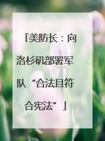 美防长：向洛杉矶部署军队“合法且符合宪法”