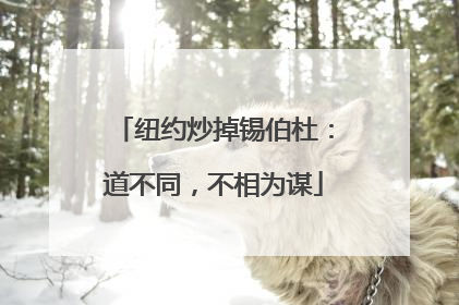纽约炒掉锡伯杜：道不同，不相为谋