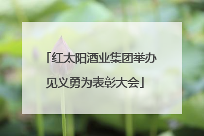 红太阳酒业集团举办见义勇为表彰大会