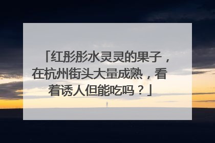 红彤彤水灵灵的果子，在杭州街头大量成熟，看着诱人但能吃吗？