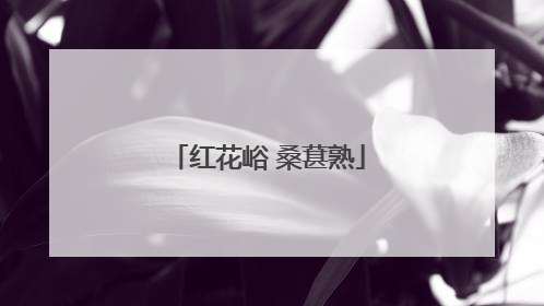 红花峪 桑葚熟