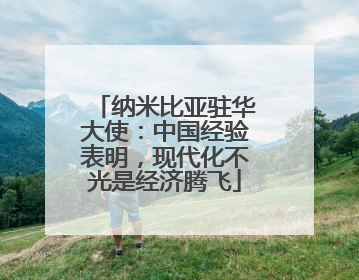 纳米比亚驻华大使：中国经验表明，现代化不光是经济腾飞