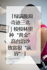 绿满陇原·奇迹三北｜梭梭林里种“黄金” 高台治沙致富很“从容”