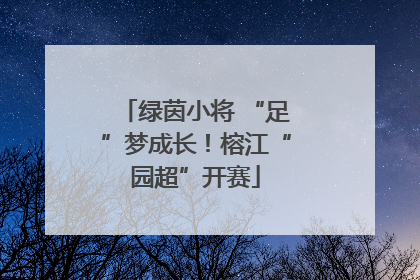 绿茵小将 “足”梦成长！榕江“园超”开赛