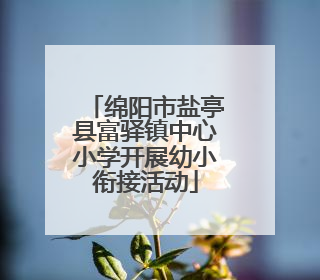 绵阳市盐亭县富驿镇中心小学开展幼小衔接活动