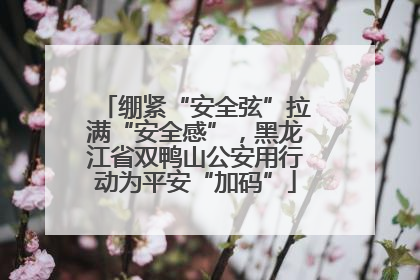 绷紧“安全弦”拉满“安全感”，黑龙江省双鸭山公安用行动为平安“加码”