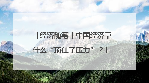 经济随笔丨中国经济靠什么“顶住了压力”？
