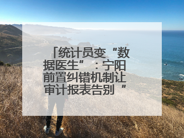 统计员变“数据医生”：宁阳前置纠错机制让审计报表告别“带病上岗”