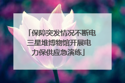 保障突发情况不断电 三星堆博物馆开展电力保供应急演练
