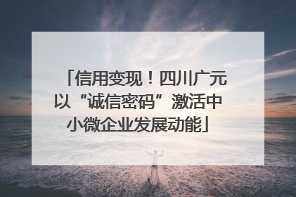 信用变现！四川广元以“诚信密码”激活中小微企业发展动能